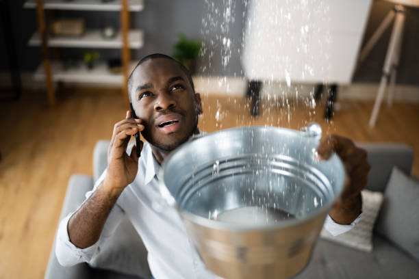 Best Flooded house restoration  in Charlestown, IN