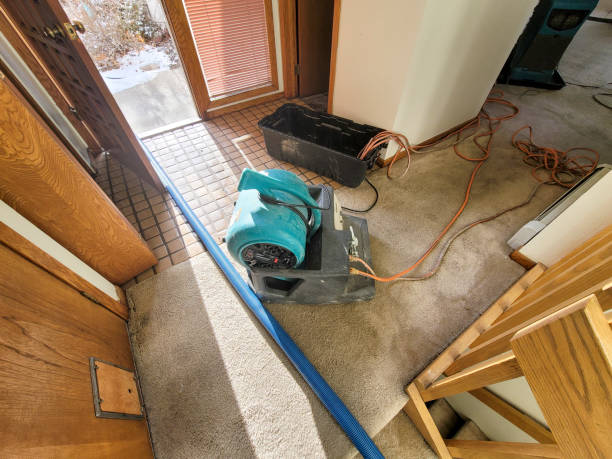  Charlestown, IN Water damage restoration Pros