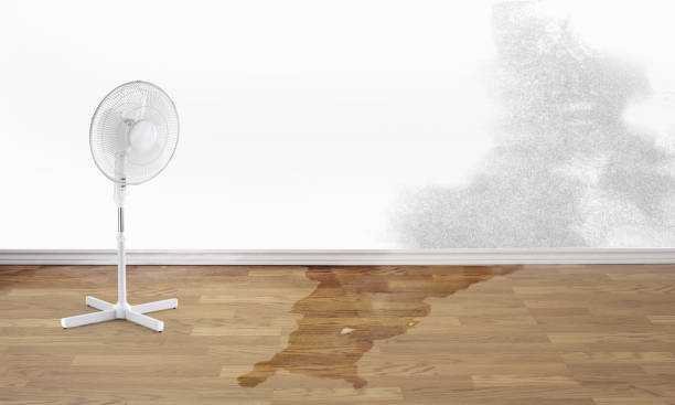 Best Water damage restoration near me  in Charlestown, IN