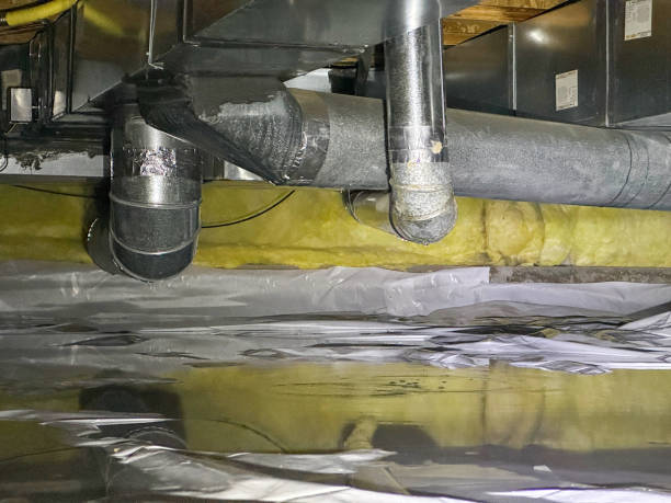 Best Flood restoration services  in Charlestown, IN