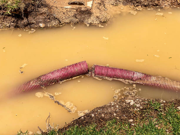 Best Mold removal after water damage  in Charlestown, IN
