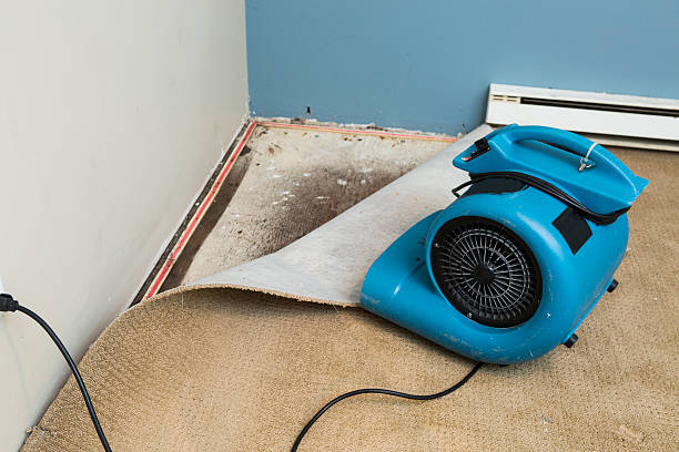 Sewage cleanup and water damage restoration in IN